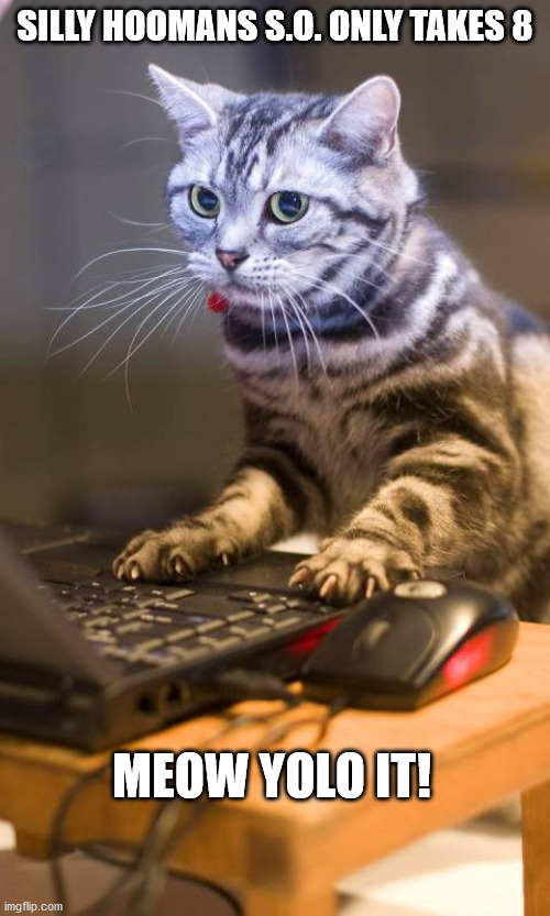 S.O. Didnt stand a chances. Now if only I could teach them all the wonders of the box! #FelloshipOfTheYolo