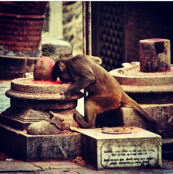 <a href="/DrAlkaRay2/">Dr Alka Ray</a> <a href="/CdrKunal/">Cdr_Kunal🇮🇳</a> Har Har Mahadev