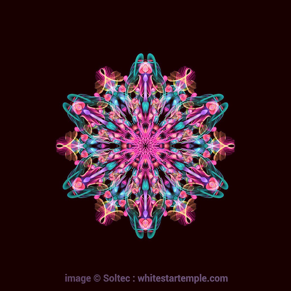 WhiteStarTemple's tweet photo. It is as if love were as liquid, and where there forms a space love pours itself into it. And as we are each an expanse within the spirit of ourselves then the love within is vast. https://t.co/5DtaFyovYP