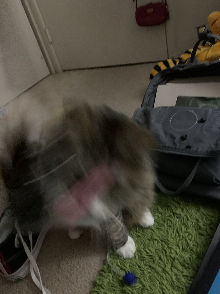 theobigboye's tweet photo. yuo. Wille. Not!!!!!! Comtaine.  Me!!!!! https://t.co/2cI6aMUO0g