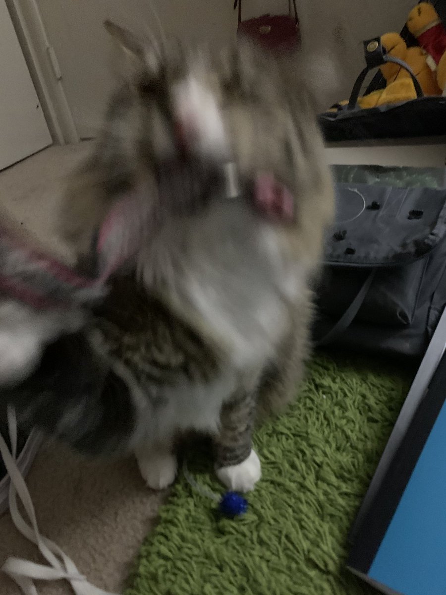 theobigboye's tweet photo. yuo. Wille. Not!!!!!! Comtaine.  Me!!!!! https://t.co/2cI6aMUO0g