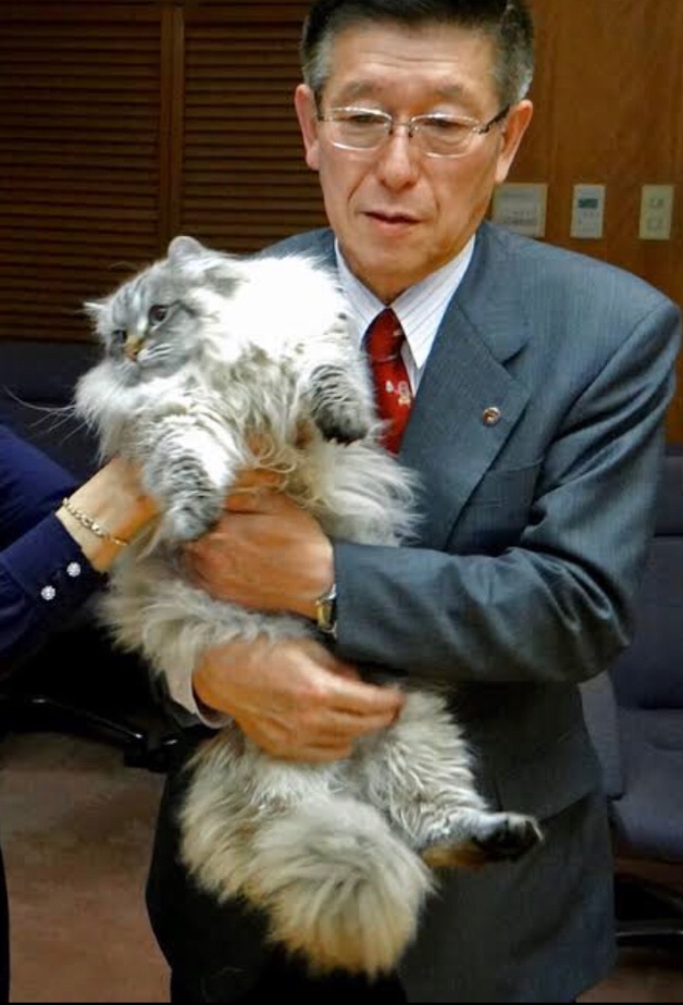 猫 Another Round على تويتر 佐竹知事と言えば 猫好きの間では愛猫 家で有名ですよね プーチン大統領から譲り受けたサイベリアンのミール君にメロメロンな知事 T Co Eswoacsukh 猫 Another Round على تويتر 佐竹知事と言えば 猫好きの間では愛猫 家で有名ですよね プーチン大統領から譲り受けたサイベリアンのミール君にメロメロンな知事 T Co Eswoacsukh