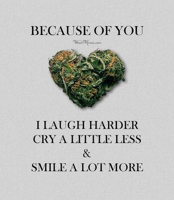 ArtbyWendyKlein's tweet photo. #FF @Simpson_Rick @Trulieve @MiracleLeaffl_  @LeafDania @CannaElegant @sweetleaf_420 @Leafly 
@NORML @NORMLFlorida @researchmrx  
#MedicalCannabis 
#MedicalMarijuana
#LegalizeMarijuana to help #HealTheCountry
#PPP
#LoveUnconditionally bc that’s all there is!!! https://t.co/pEPXAlVr3A