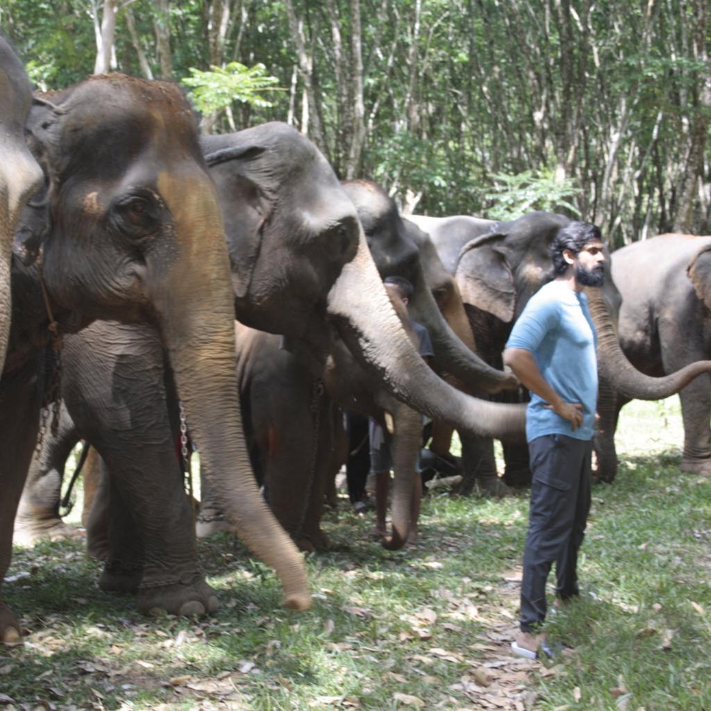 Fridayenter's tweet photo. on the sets of #HaathiMereSaathi
#Aranya and #Kaadan! 

@RanaDaggubati #ranadaggubati #SaturdayThoughts #SaturdayMotivation #Tollywood https://t.co/qAKNqVfy72