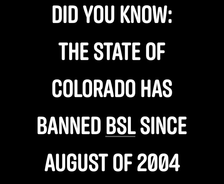 HighPibble's tweet image. Some general information on the State of Colorado. #pitbulls #pitties #pibble #pitbulladvocates #bslisbs #bslisthepits #coloradopibbles #repealtheban #303pits #endbsl #velvethippo #inherentlygood #milehighpibblemarch #mhpm #milehighcity #denver #denvercolorado