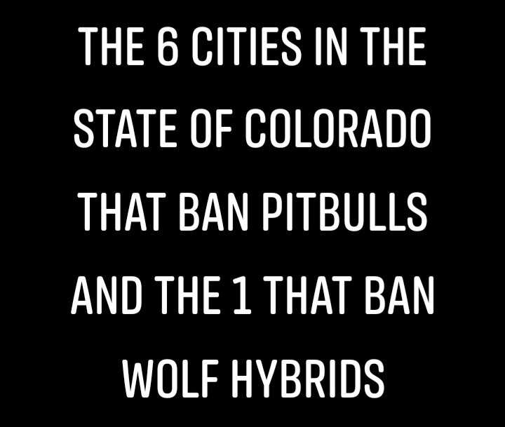 HighPibble's tweet image. Some general information on the State of Colorado. #pitbulls #pitties #pibble #pitbulladvocates #bslisbs #bslisthepits #coloradopibbles #repealtheban #303pits #endbsl #velvethippo #inherentlygood #milehighpibblemarch #mhpm #milehighcity #denver #denvercolorado