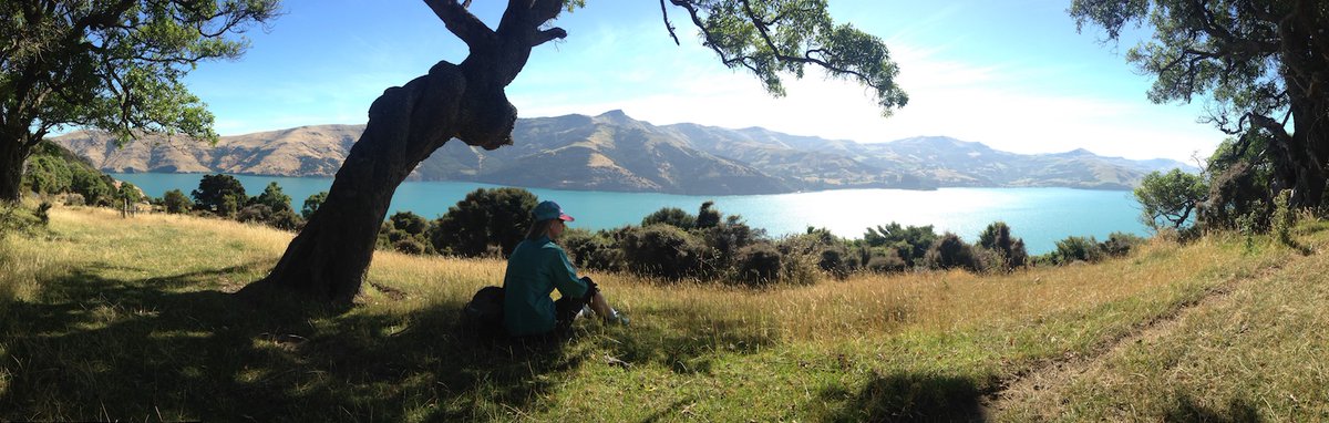 Chris Bessler tweet media