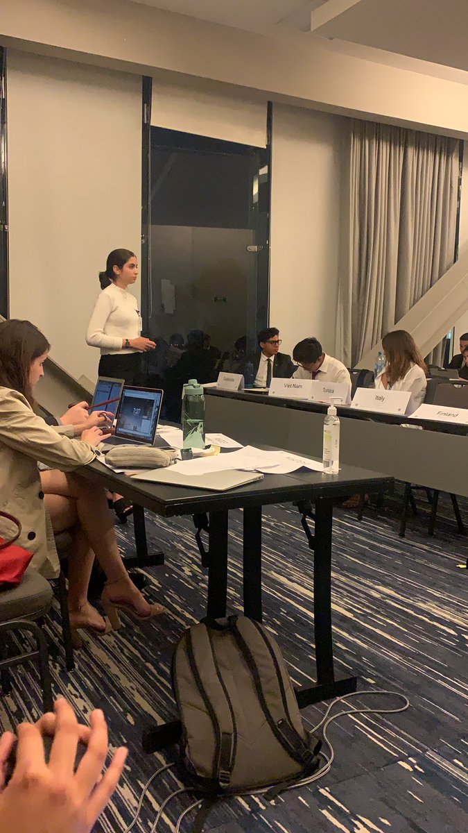 Monroe_ITMIMUN's tweet photo. ECOFIN: South Africa’s delegation moderating the moderated cacus https://t.co/OIAjlWvhae