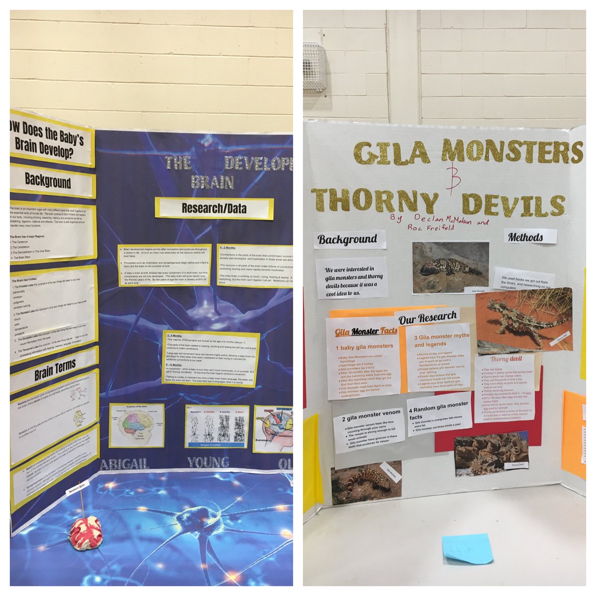 I LOVED judging the <a href="/FitzGeraldWPS/">FitzGerald School</a> science fair tonight! Such curious, confident and enthusiastic students.  I hope you always love science and learning!  Can’t wait to have you as students at WHS.

Thanks to my judging buddy <a href="/MrsDiMasi/">Mrs. DiMasi</a> for leading the way.