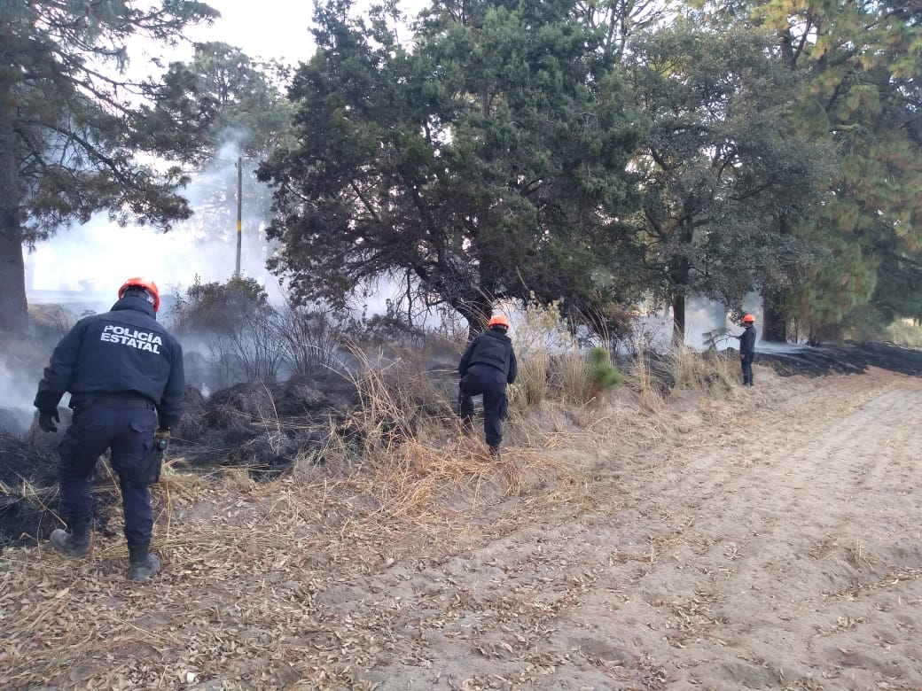 PoliciaSsc's tweet photo. La Policía de Montaña de la #SSCTLX en recorrido de seguridad y vigilancia sobre la carretera que conduce a #SanJoséTeacalco  a la altura del paraje San Lorenzo, se observa un conato de incendio que se sofoca con técnicas de contra fuego.
#PorUnTlaxcalaSeguro
#CrecerJuntos2020 https://t.co/GbRaisaT20