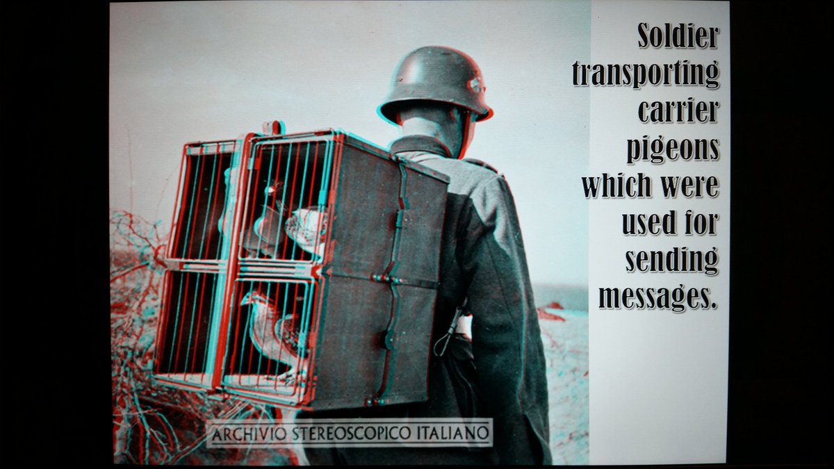 April Morrison tweet media