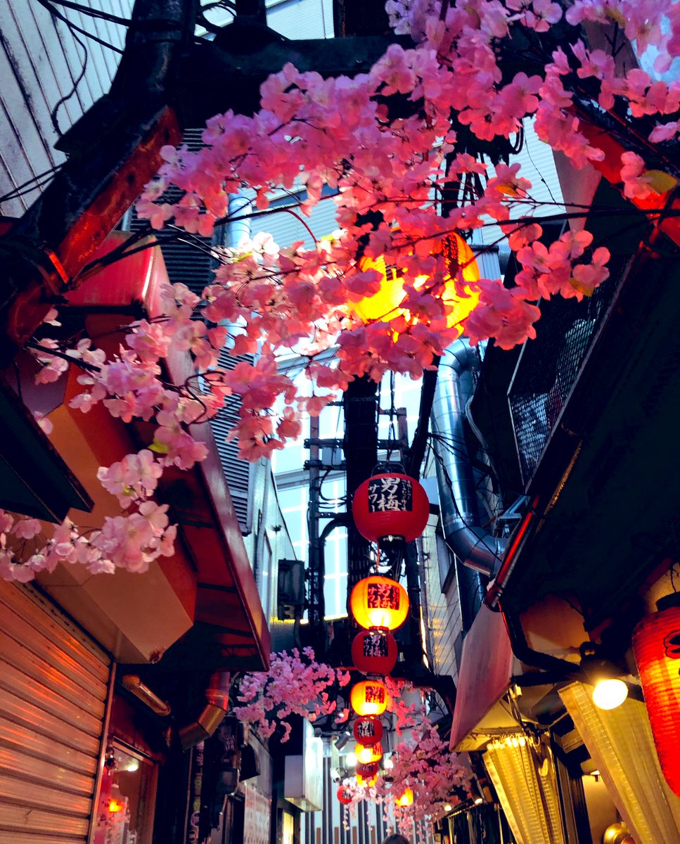 寂尊 Jackson 体内時計は春なのに 花粉とコロナと自粛に覆われ 春の香りを味わえていない せめてと気が早く咲いた桜に 逢いたい心で行った先は 未だ桜鼠色の上野 古くて狭い横丁の造花の桜が 今年は尊く感じる新宿 せんべろ 思い出横丁