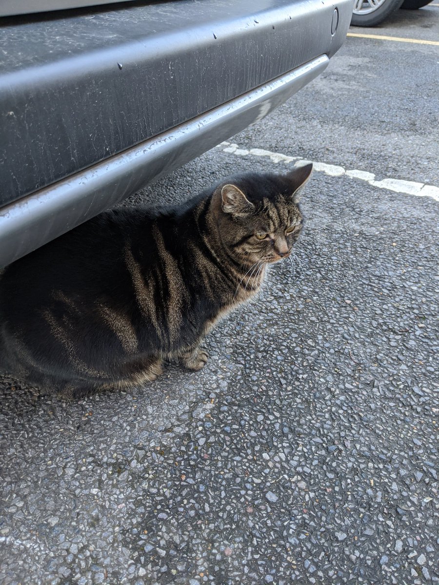 Emma Thomas tweet media