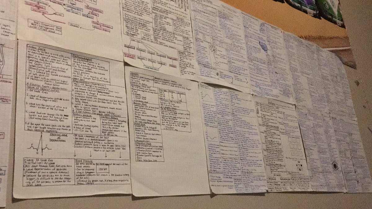 Chloe Cook tweet media