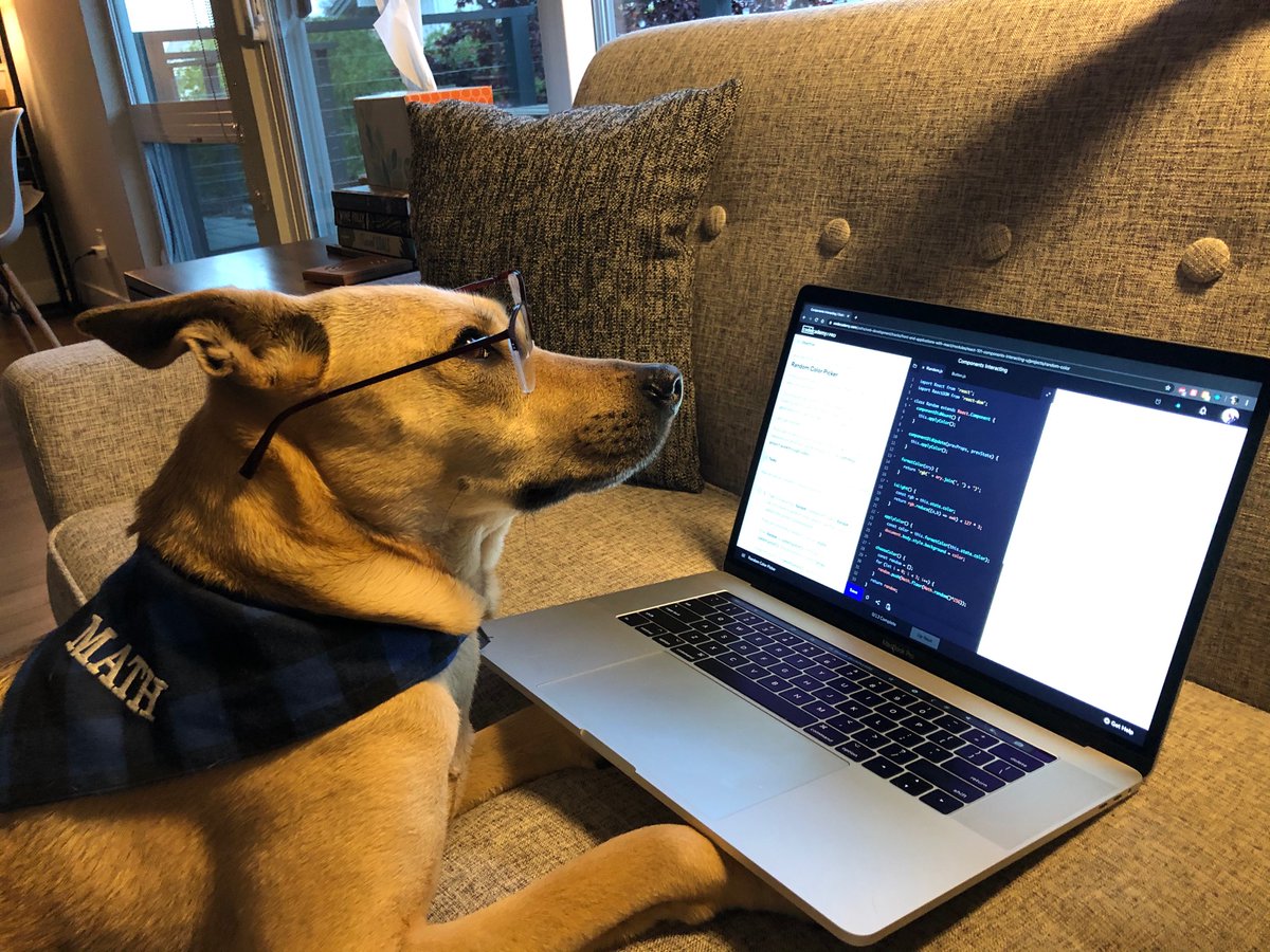 _rpgbx's tweet photo. @Codecademy Hi @Codecademy 👋 My name is Leia and I’m learning React with my mawmaw. 🤓 We love Codecademy Pro, and mawmaw says I’m very helpful with her studies. #PetsWhoCode https://t.co/CGJYu4T7FF