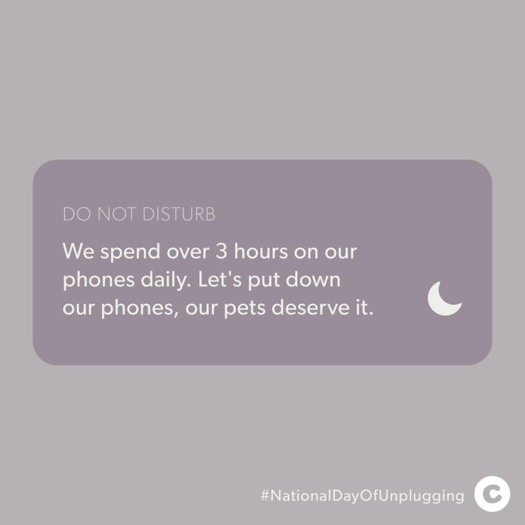 Chewy's tweet photo. Settings > Screen Time > Downtime: On.

#NationalDayOfUnplugging https://t.co/STN1oj9jM1