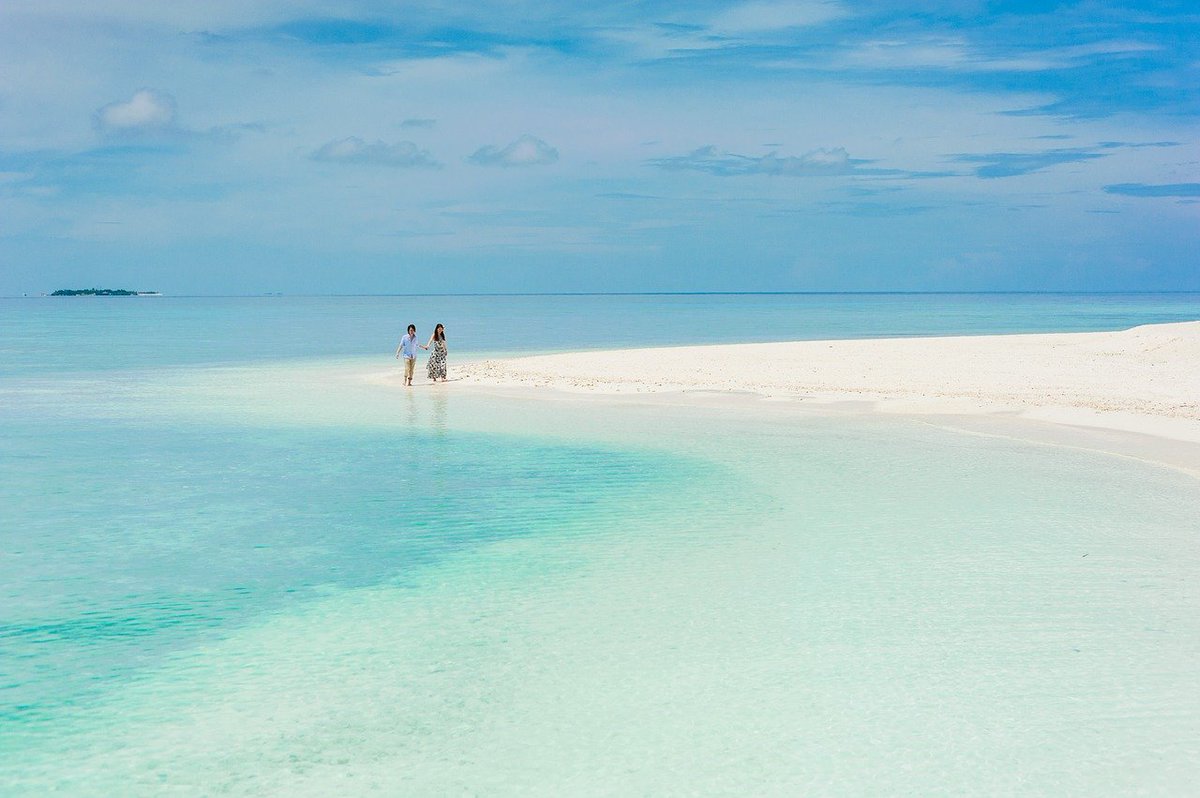 FastCover's tweet photo. 🌴☀️🐠

#beach #whitesand #blue #waters #fastcover https://t.co/pvFsANTxfb