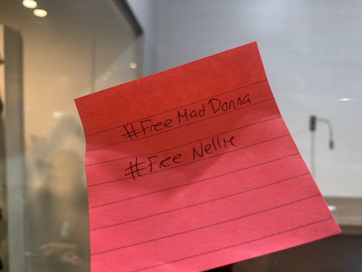 Monroe_ITMIMUN's tweet photo. Members of USA cabinet pasting #freeMadDonna #freeNellie post-its 
@INDTRUTH_MIMUN https://t.co/cxr5PgWYAD