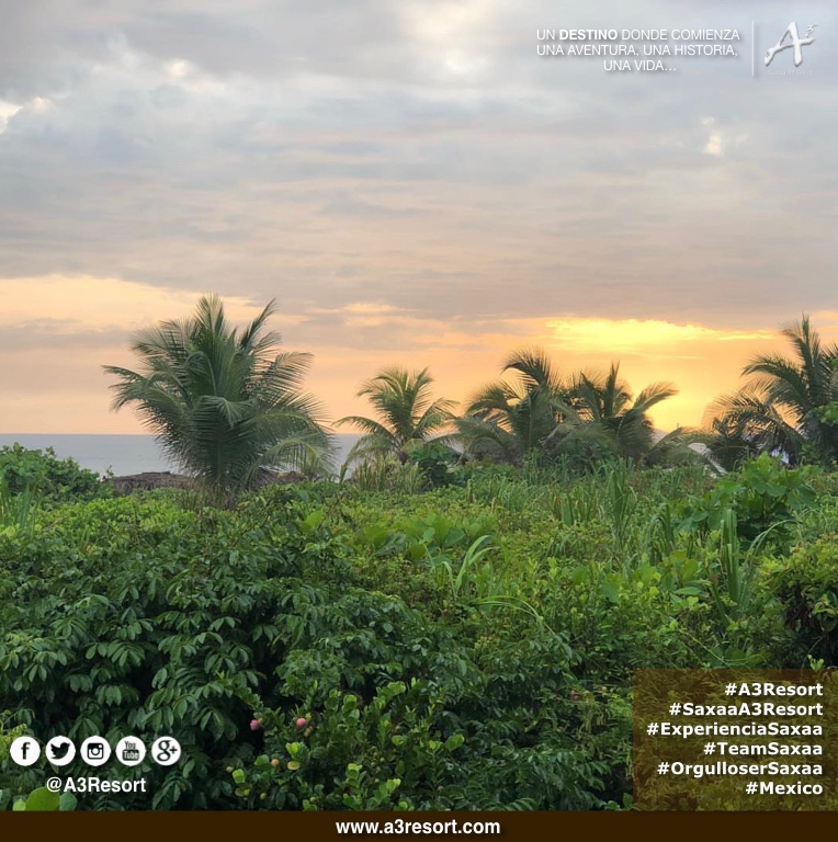 A3Resort's tweet photo. #A3Resort #SaxaaA3Resort ๐ฒ๐ฝ #TeamSaxaa #OrgulloSerSaxaa #GrupoSaxaa #Golfโ #Spa #ExperienciaA3 #A3Moment #SiguemeYTeSigoAlInstante #siguemeytesigo #SiguemeYTeSigoDeVuelta #follobackinstantly #folloback #sigueme #FolloMe #follo4follo #FolloForFolloBack #SiguemeYTeSigoCumplo https://t.co/wNso15V5g2