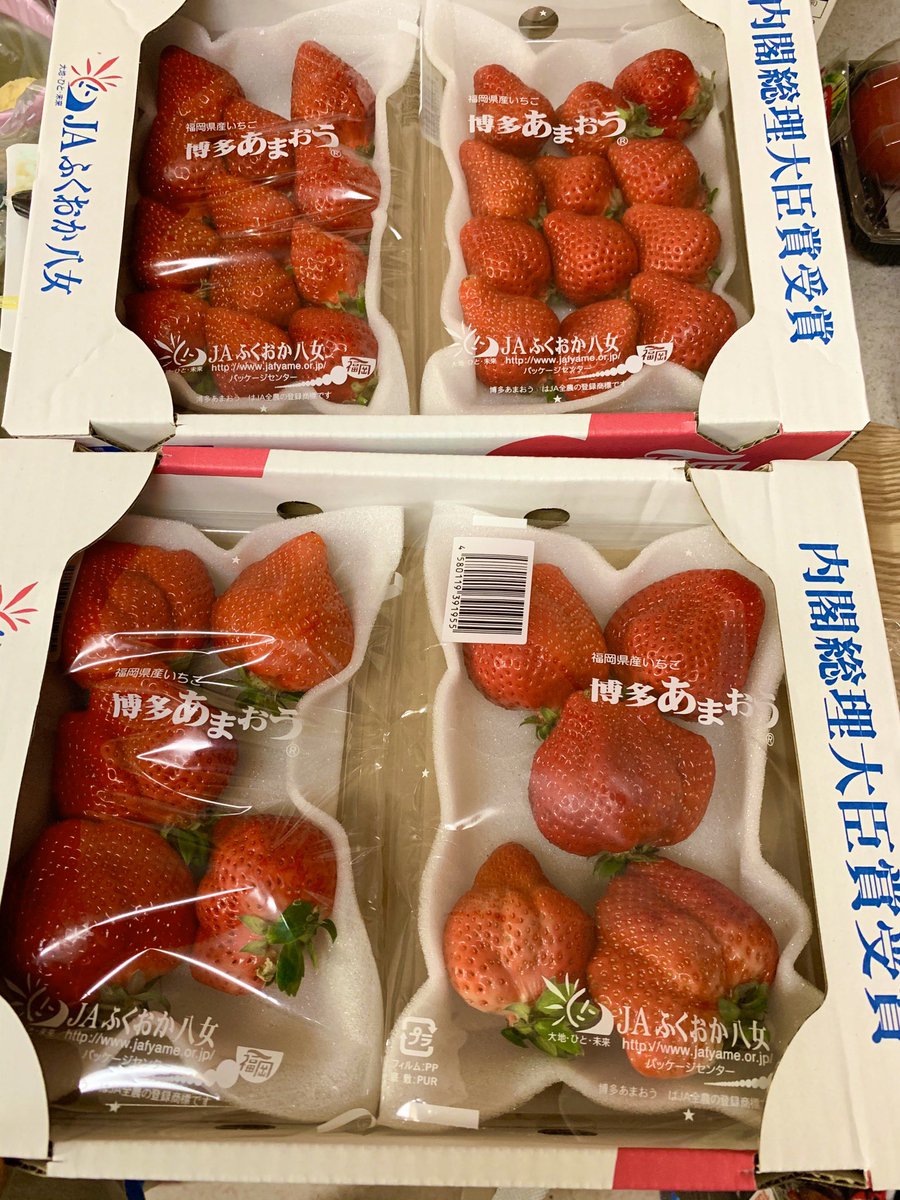 すごいの届いた
(ふるさと納税) 