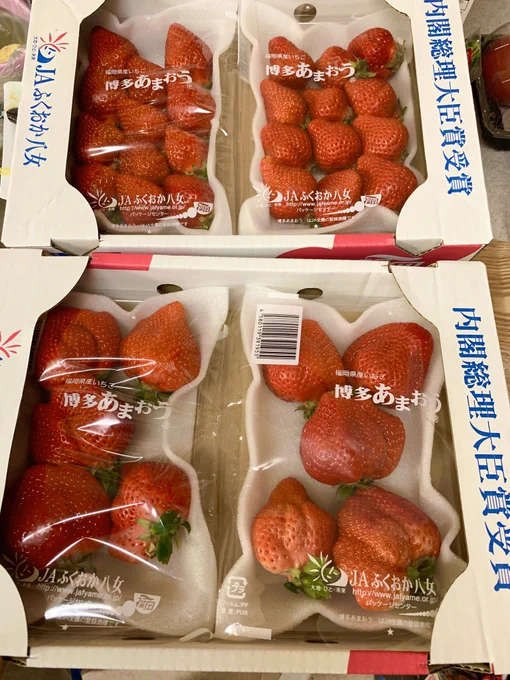 すごいの届いた
(ふるさと納税) 