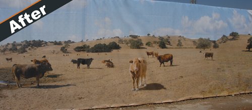 yourfencefabric's tweet photo. #cows #cowpasture #pasture #fences #fencefabric #fence #privacyfence #privacyfencing #americanmade #madeintheusa #woodfence #constructionfencing #vinylfencepanel #vinylfence #schoolprivacy #privacyscreen #poolfence #chainlink #metalfence #balconyscreen #rentafence #barkingdogs https://t.co/G5lbP65qbJ
