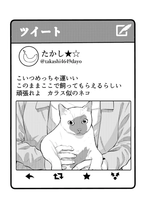 たかしの最新ツイート

#不良がネコに助けられてく話 