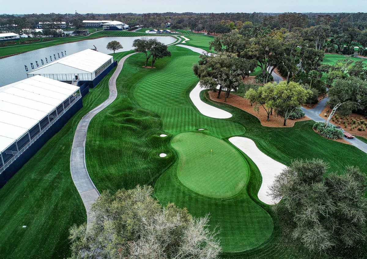 JMS Geomatics tweet media