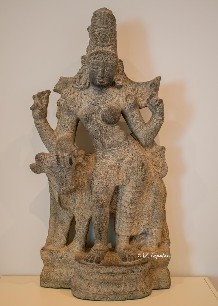TheGopalan's tweet photo. This wonderful 14th century granite sculpture from Tamil Nadu India of Ardhanarishvara is in @artinstitutechi Chicago!

Zoom in to see how beautifully the sculptor has differentiated Shiva &amp; Parvathi in this sculpture! 

#IndianHeritage https://t.co/DRQSUeLQVR