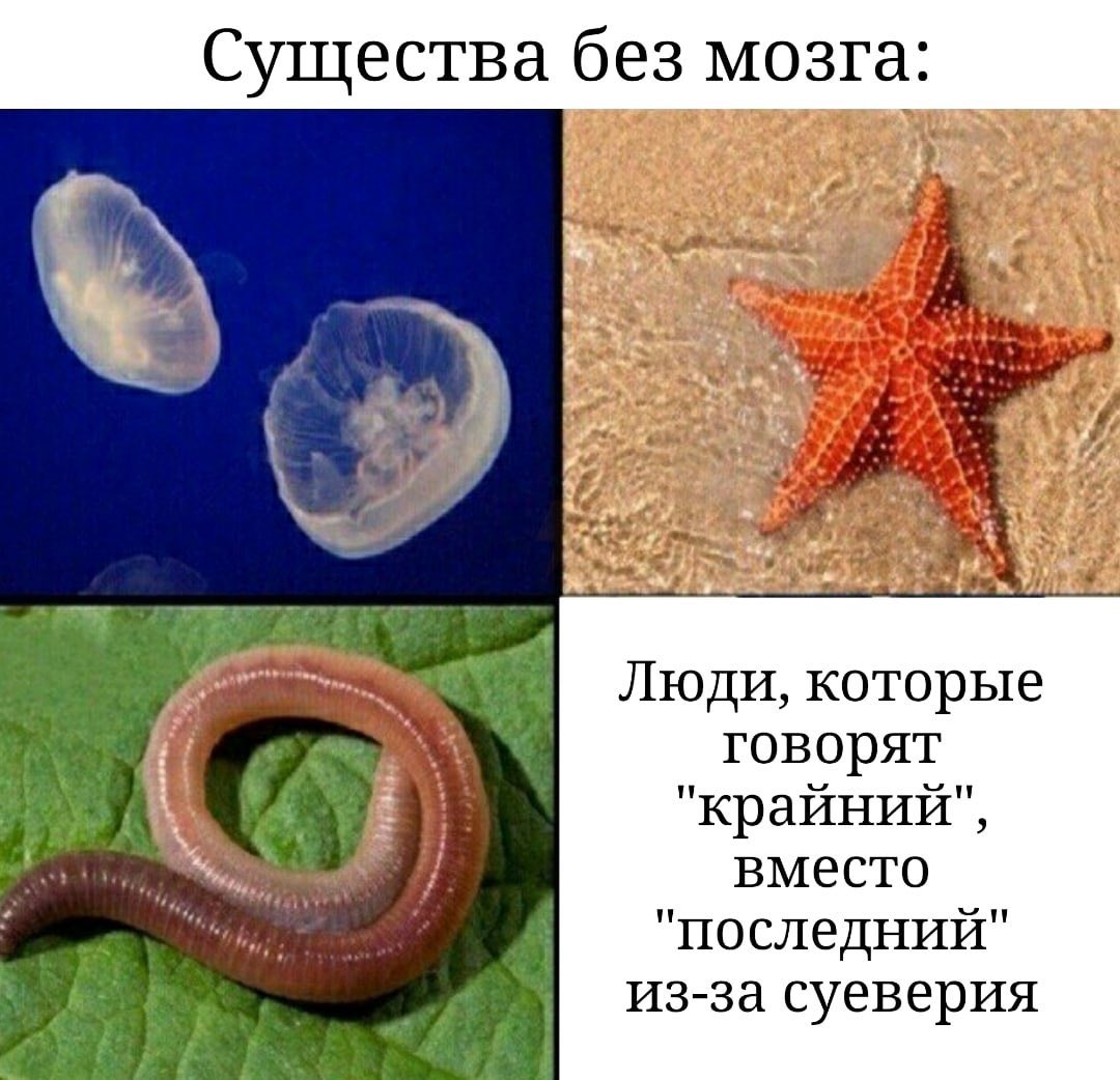 ESeObY2WkAAWwpW?format=jpg&name=medium