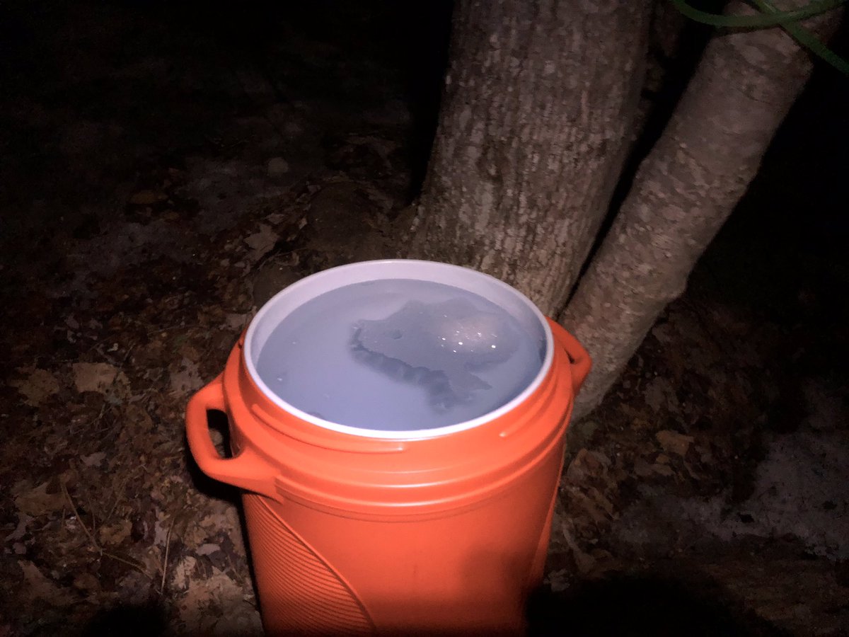 blackdogsugar's tweet photo. Holy Sap, Batman! #backyardsugaring https://t.co/XvcoxZBaNy