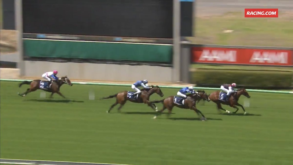 widdenstud's tweet photo. Exciting first season stallion #OUTREACH 🏹 adds another winner with STATE OF CLASS producing a soft but speedy all the way win @SAJockeyClub metro meet. 
Also, good luck to younger bro STANDOUT, favourite for today’s Gr1 Canterbury Stakes! #FreakFamily #SonOfExceed #Speed https://t.co/NL4d5tGetq