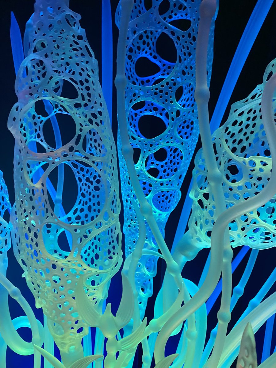 ubatuba_alex's tweet photo. Europan  Reef https://t.co/0cKXlS1PZA