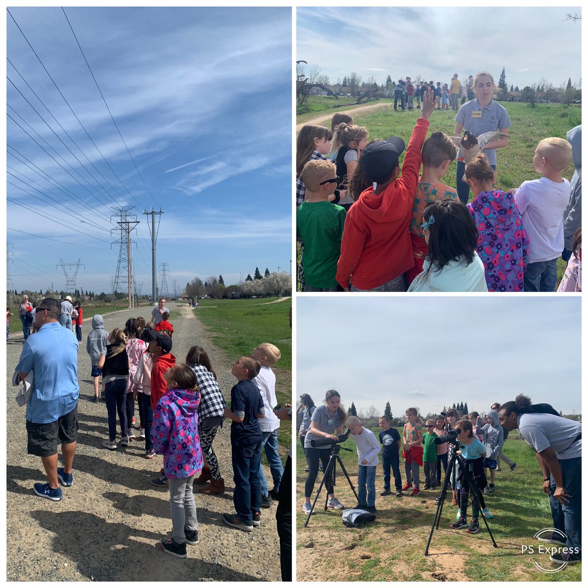 BaumgartnerRCSD's tweet image. We had a great field trip to Woodcreek High School Nature Center! #lifecycles @RCSDOrchard #rcsdchampions #rcsdk8