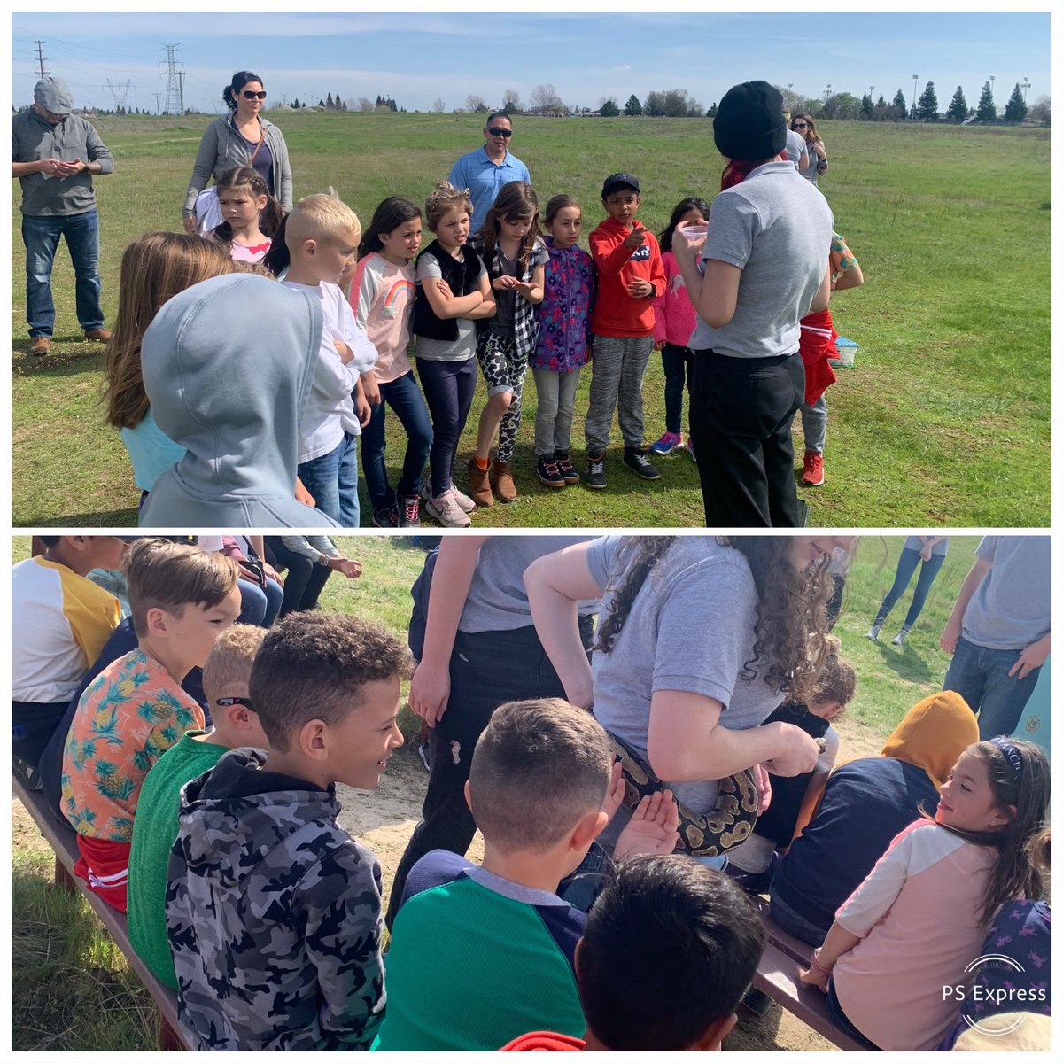 BaumgartnerRCSD's tweet image. We had a great field trip to Woodcreek High School Nature Center! #lifecycles @RCSDOrchard #rcsdchampions #rcsdk8