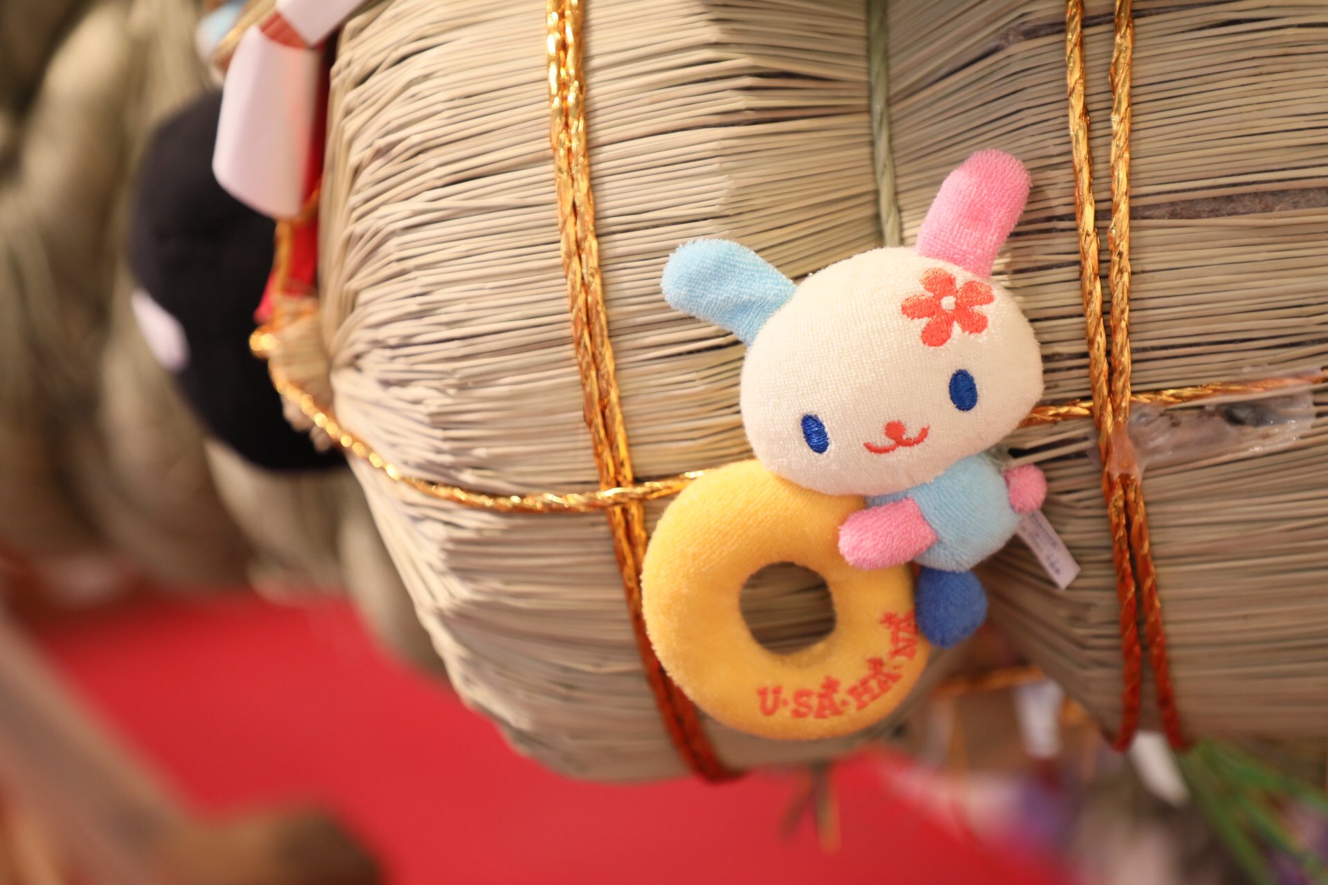 Reiwa Asakawa 中の人が好きなキャラクターは ウサハナ かおもじん 広義には顔文字のキャラ ぐんまちゃん などです 逆に漫画やアニメ ゲーム系にはあまり興味を示しません T Co Kcp4zlekqw Twitter