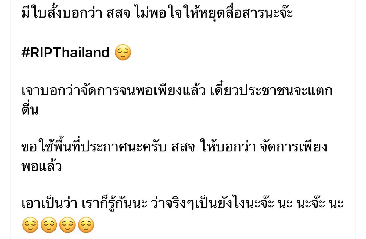 หมีสีฟ้า tweet media