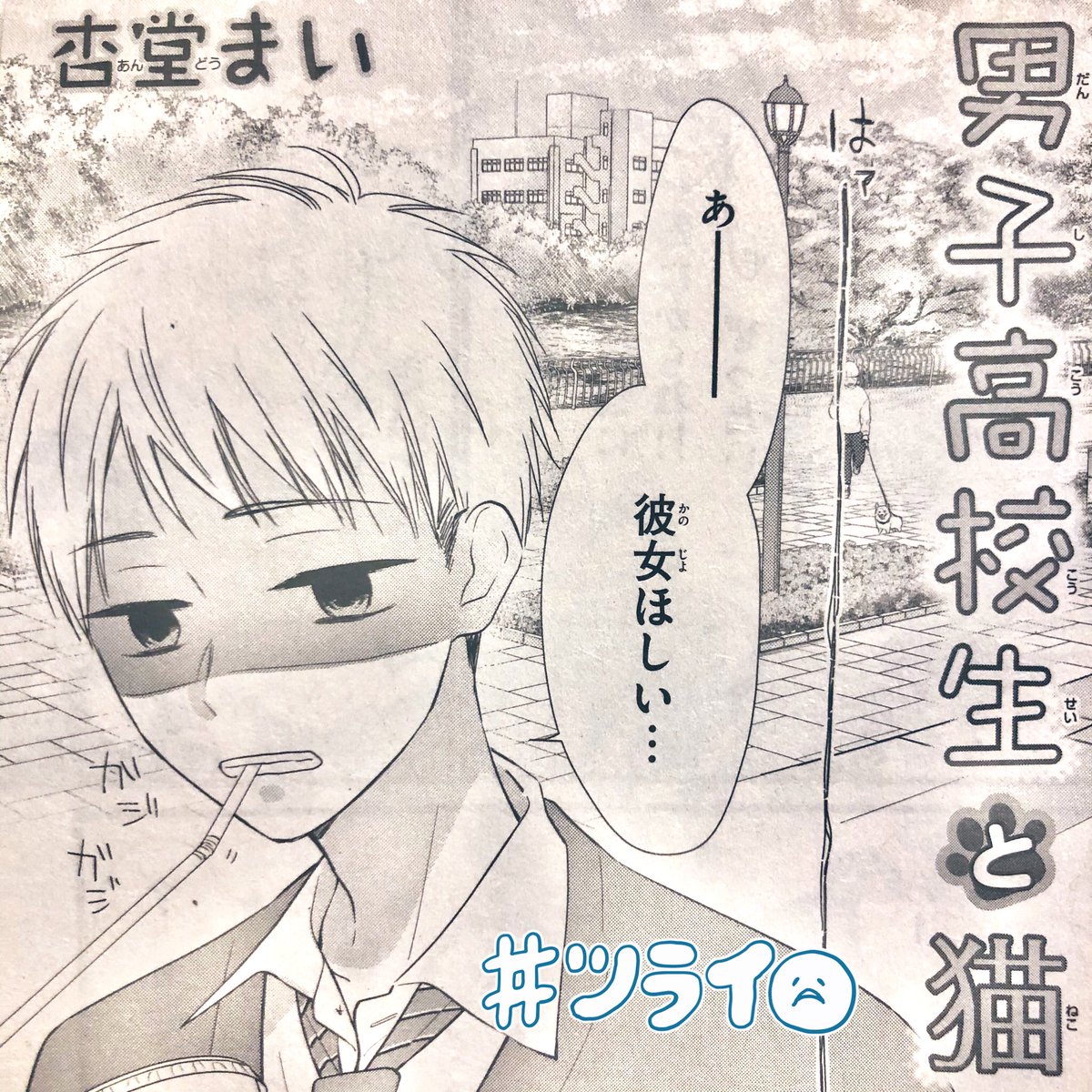 【おしらせ】

①発売中Sho-Comi7号に
「僕の可愛い先輩」

②別冊付録にショート
「男子高校生と猫」

掲載されてます✨
本編は最終回❣️卒業式、2人は…?
ショートには西藤くんも出てきます☺️

ぜひ読んでください✨

③そして10号から新連載始まります✨

よろしくお願いします🥺✨ 