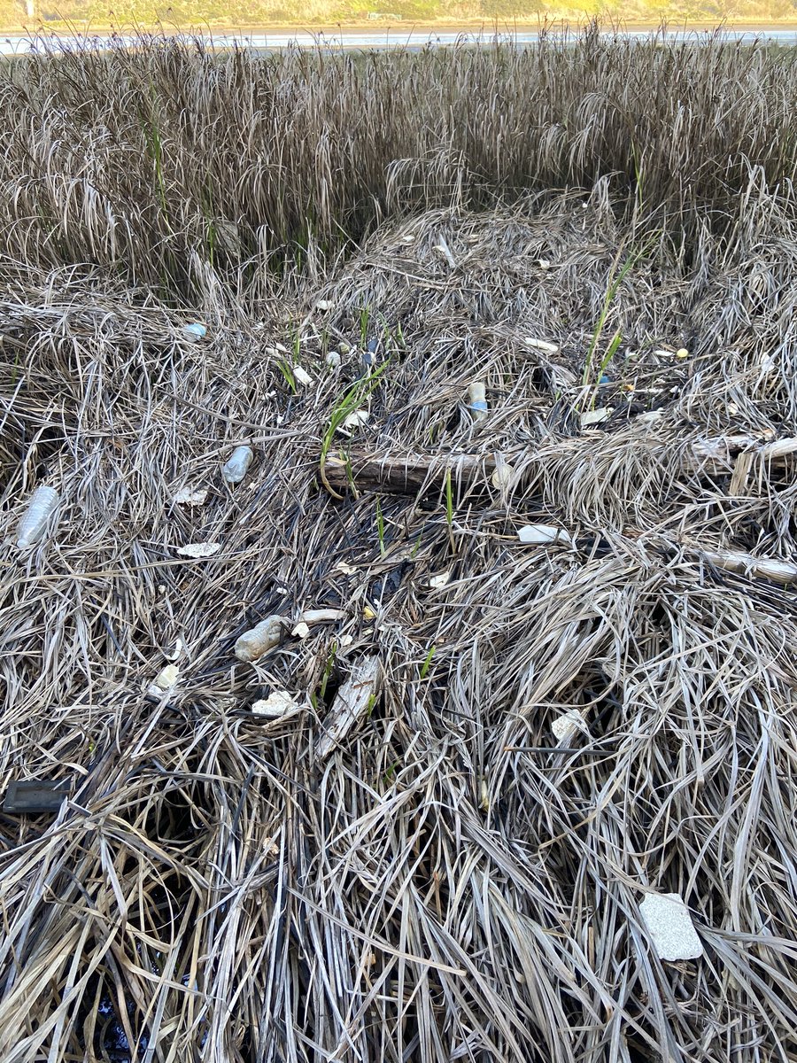 jax6street's tweet photo. Cleanup day 14: Definitely the most trash I’ve picked up since I’ve been documenting my cleanups! I can’t believe all this trash is in the back bay. Yes, I had to use a few plastic trash bags to fit all the trash because we picked up so much. #EarthCleanUp #SingleUsePlastic https://t.co/e4NqpnFhGV