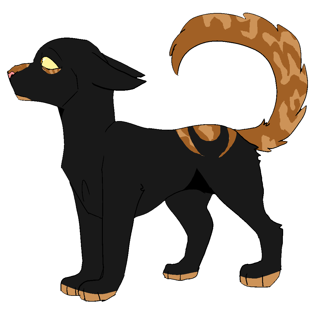 Warrior Cat Designs