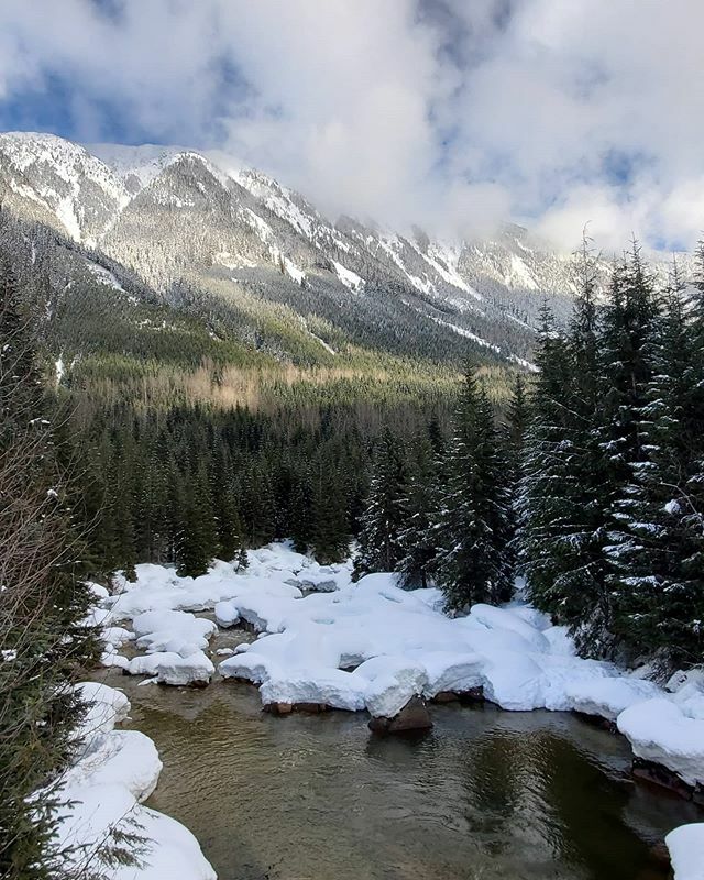This is one of incredible views on the way to shames mountain...🚵‍♀️ @fearlessbackpacker .
.
. .
.
.
.
.
.
.
.
.
.
#nature #getoutside  #wildernessculture #getoutstayout #outdoors  #backpacking #explore #hiking #adventure #wilderness #hikingtrails #trekk… ift.tt/2ItYQcW