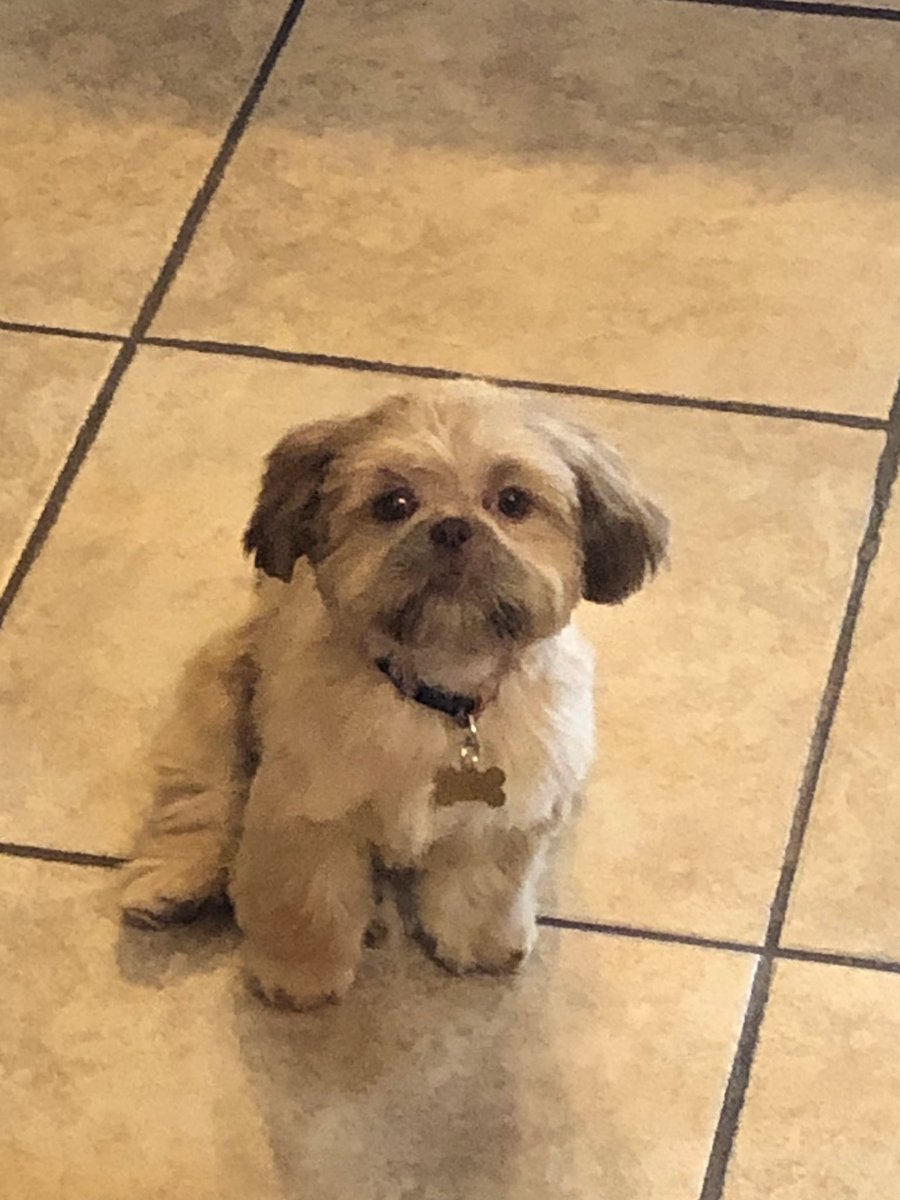 Coopers first spa day