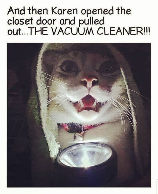 lover_ideas's tweet photo. What do you guys think about it?
#CatsOfTwitter #catsofinstagram 
#cat  #catsoftheday #catstyle #ilovecats  #kittykat #kittylovers #kittylife #kitten #dailykitten #kittenplaycommunity #kittendaily #curiouskitty https://t.co/qR5n0LZWrX