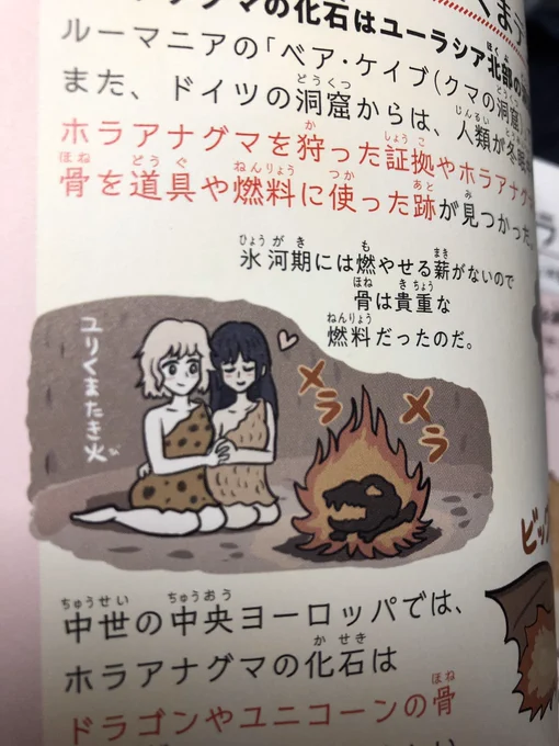 ユリくまたき火(繁体字) 