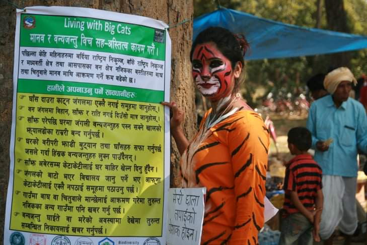 COEXISTENCE GUIDELINE POSTERS There's a growing number of requests for these especially from India.  We'll have supply soon + we're just completing a generic digital file (in Hindi). Email projects@wildtiger.org ... no, we're not supplying Anjel (see image) with the guidelines :)