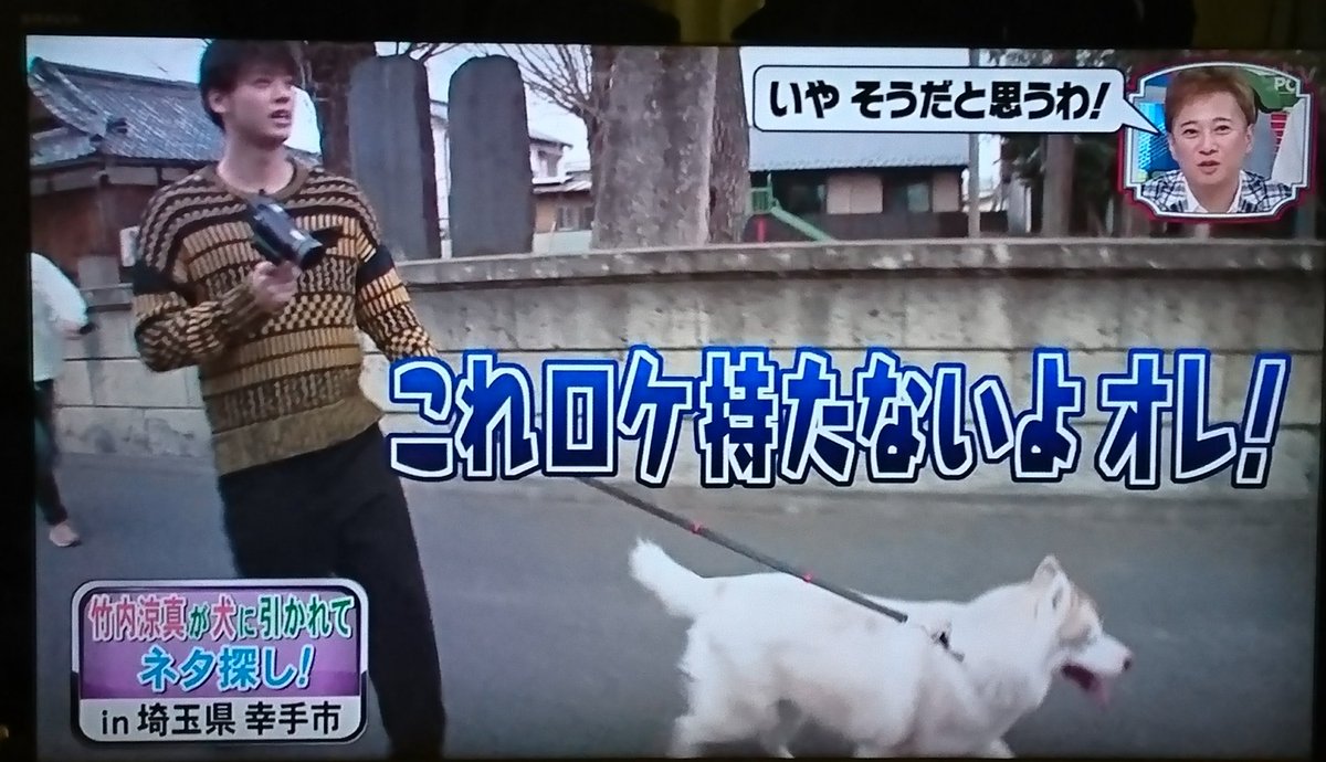 笑っ て こらえ て 犬 Article 笑っ て こらえ て 犬 Article