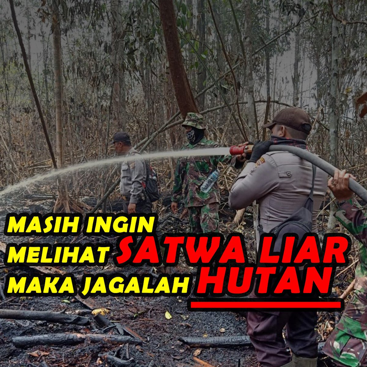 KalitRisu's tweet photo. Hutan adalah milik kita bersama....
#BelantarakanHutan https://t.co/i0nHg2EwHP