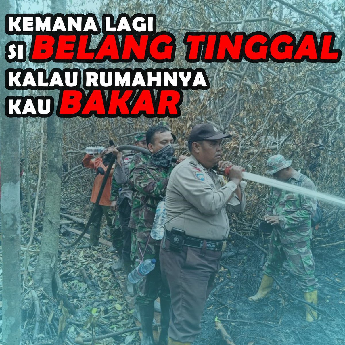 KalitRisu's tweet photo. Hutan adalah milik kita bersama....
#BelantarakanHutan https://t.co/i0nHg2EwHP