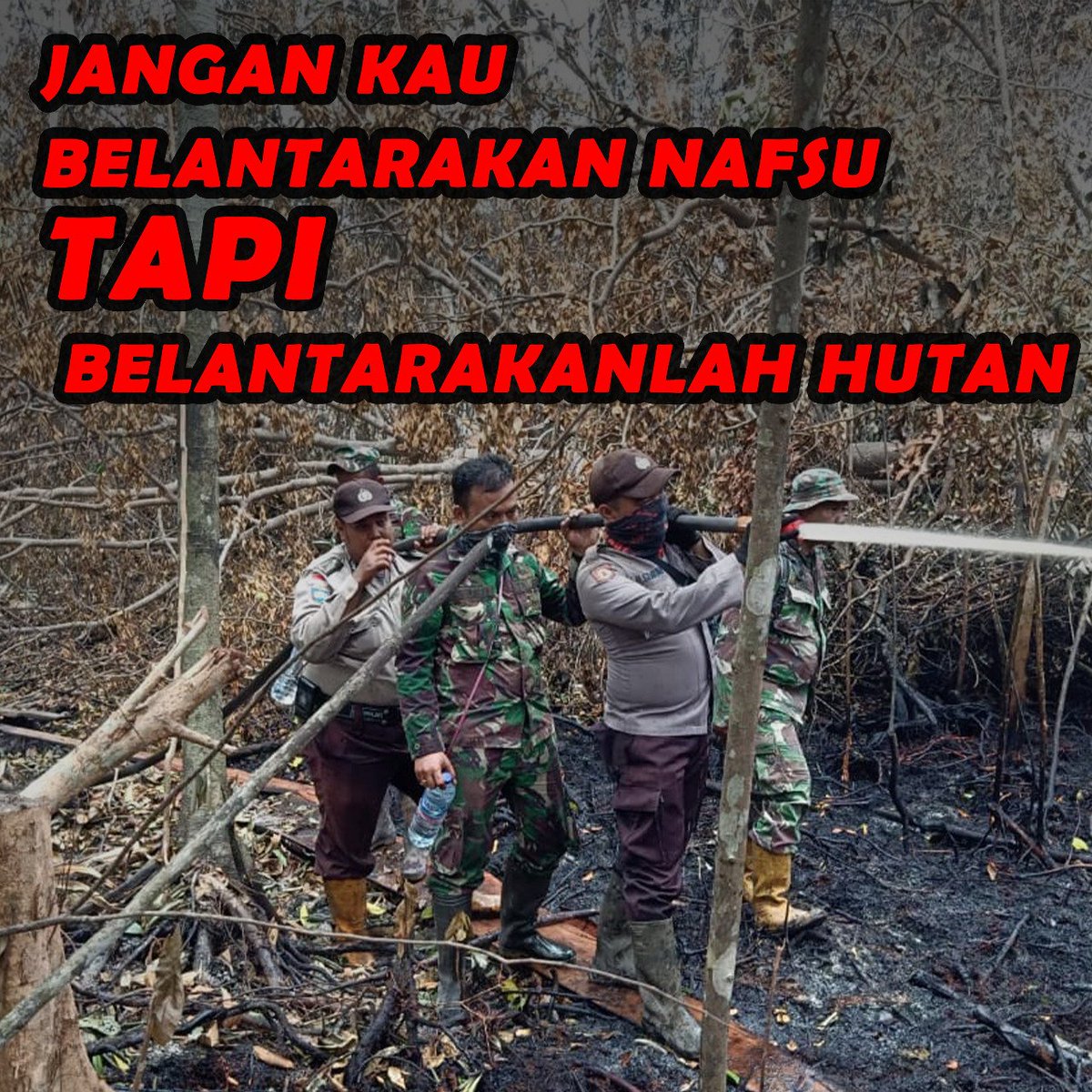 KalitRisu's tweet photo. Hutan adalah milik kita bersama....
#BelantarakanHutan https://t.co/i0nHg2EwHP