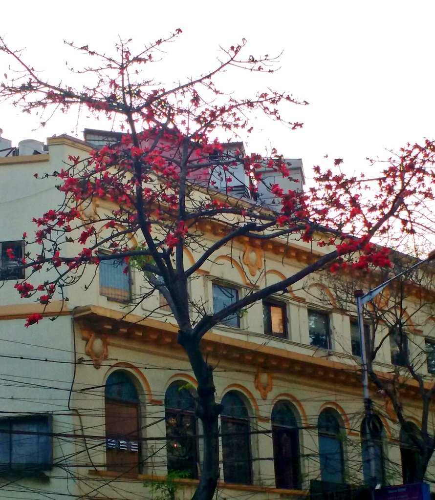 em_basu's tweet image. The world comes filled with #Colors and a whole lot of fresh #greenery. The world that seemed so grey &amp;amp; dull in the winter just left behind has come alive once again. 

#Springhasarrived